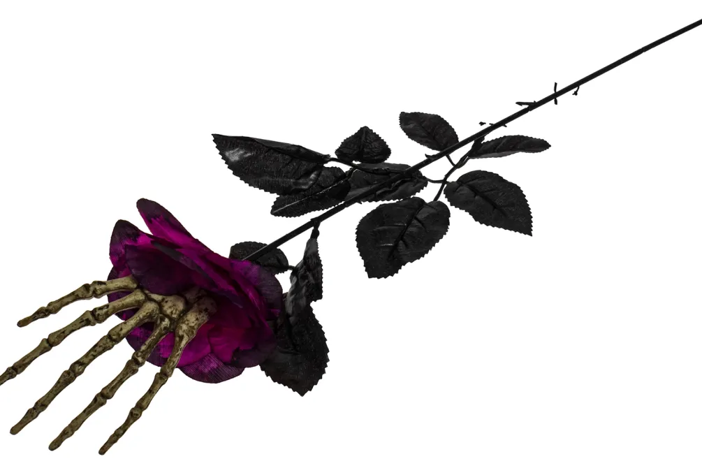 Rodes Black Skull Rose New