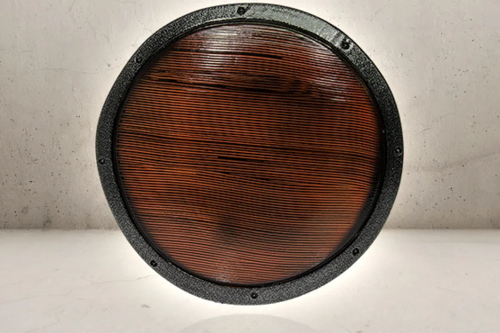 Rodes Buckler Shield / skjold Junior – Wood Best