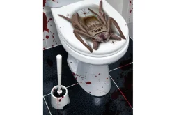 Rodes “Creapy Spider” Toilet Dekoration Sale