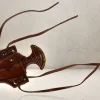 Rodes Push Dagger Holder with knife – Brown Fashion