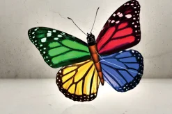 Rodes Stor Pop-Up drage – Butterfly Fashion