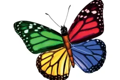 Rodes Stor Pop-Up drage – Butterfly Fashion