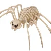 Rodes Tarantula Skeleton 35 x 20 cm Hot
